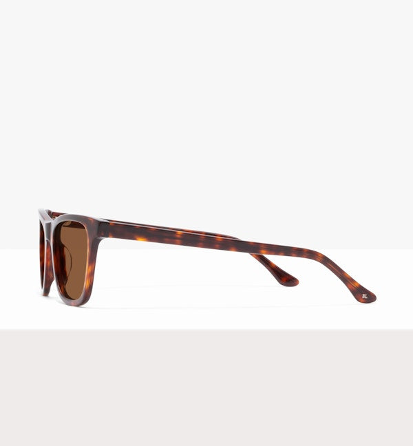 Tortoise--side_image_sun