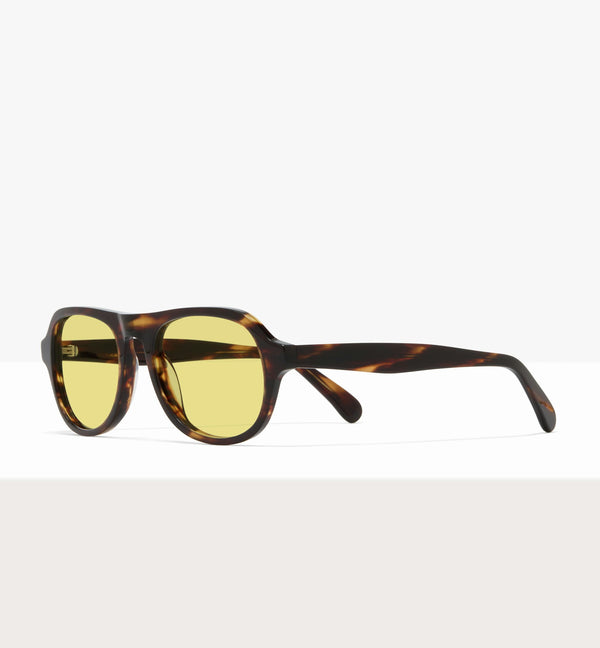 Brown Tort--angled_image_sun