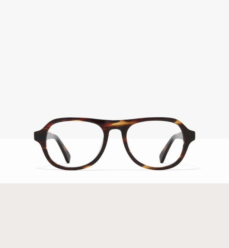 Brown Tort--front_image