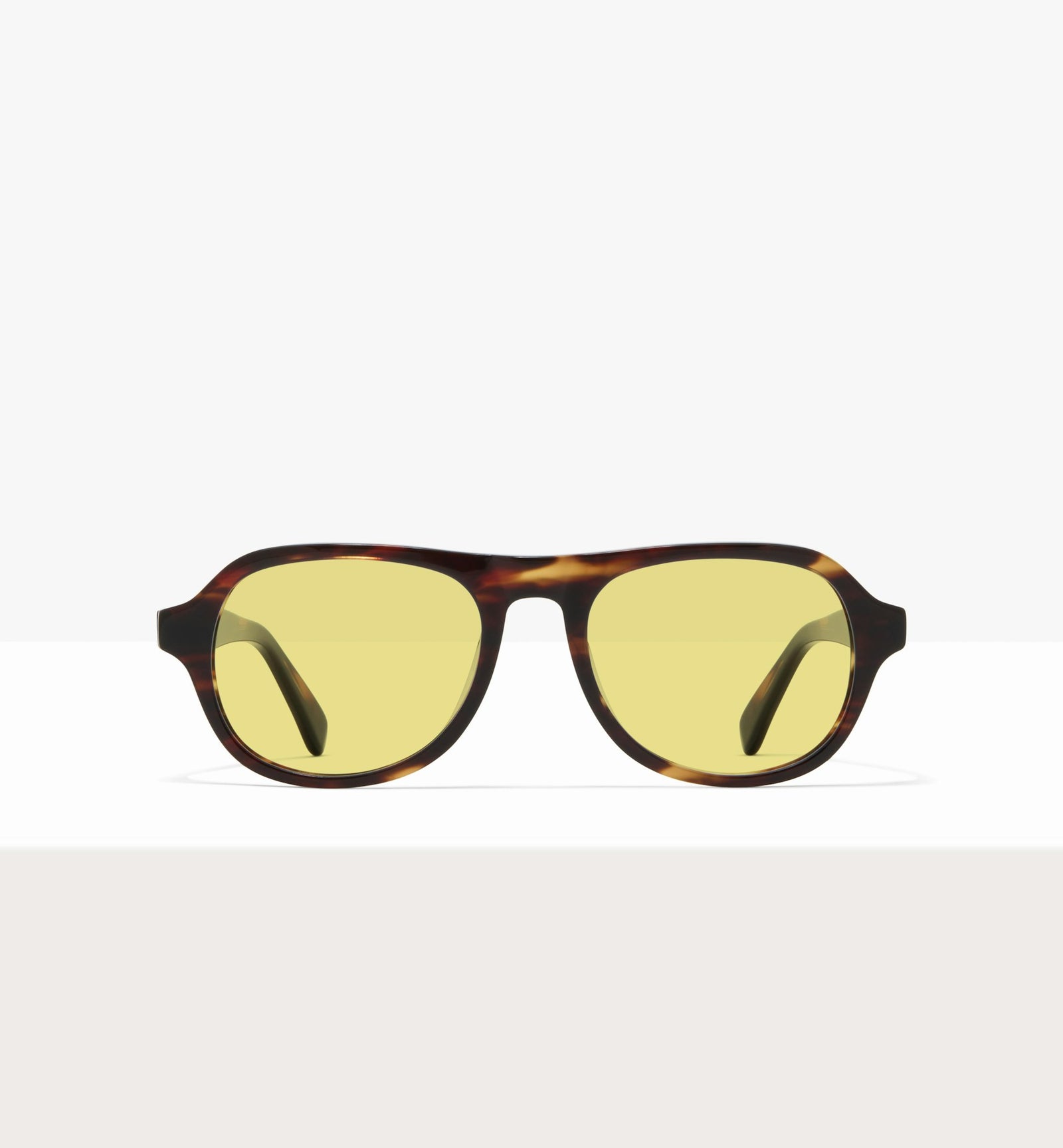 Brown Tort--front_image_sun