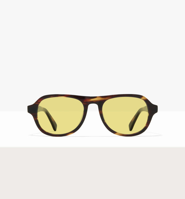 Brown Tort--front_image_sun