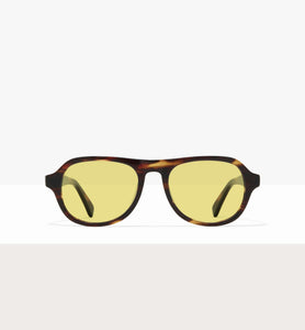 Brown Tort--front_image_sun