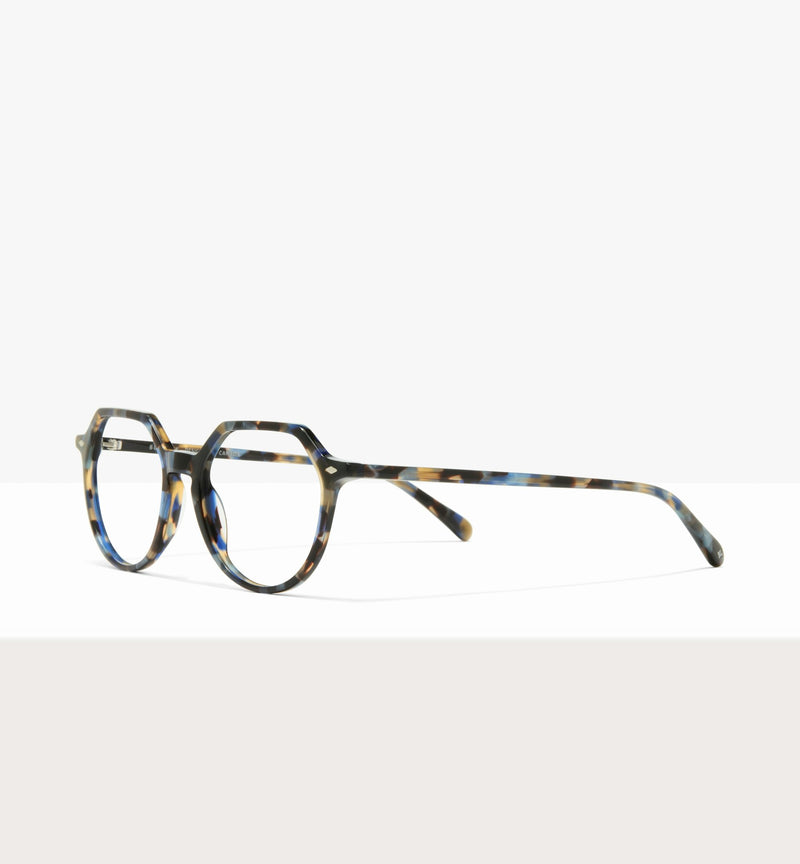 Blue Tort--angled_image