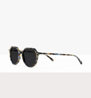 Blue Tort--angled_image_sun