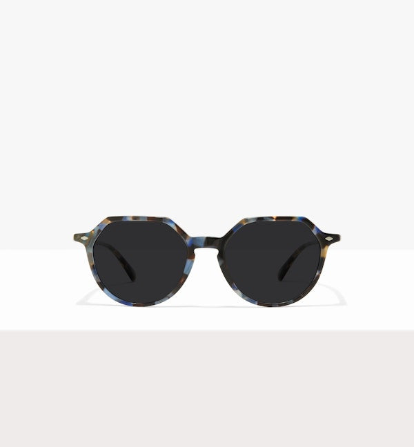 Blue Tort--front_image_sun