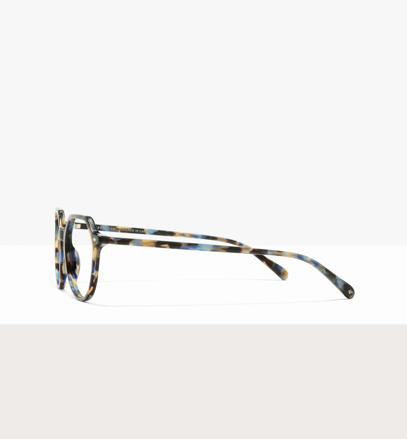 Blue Tort--side_image