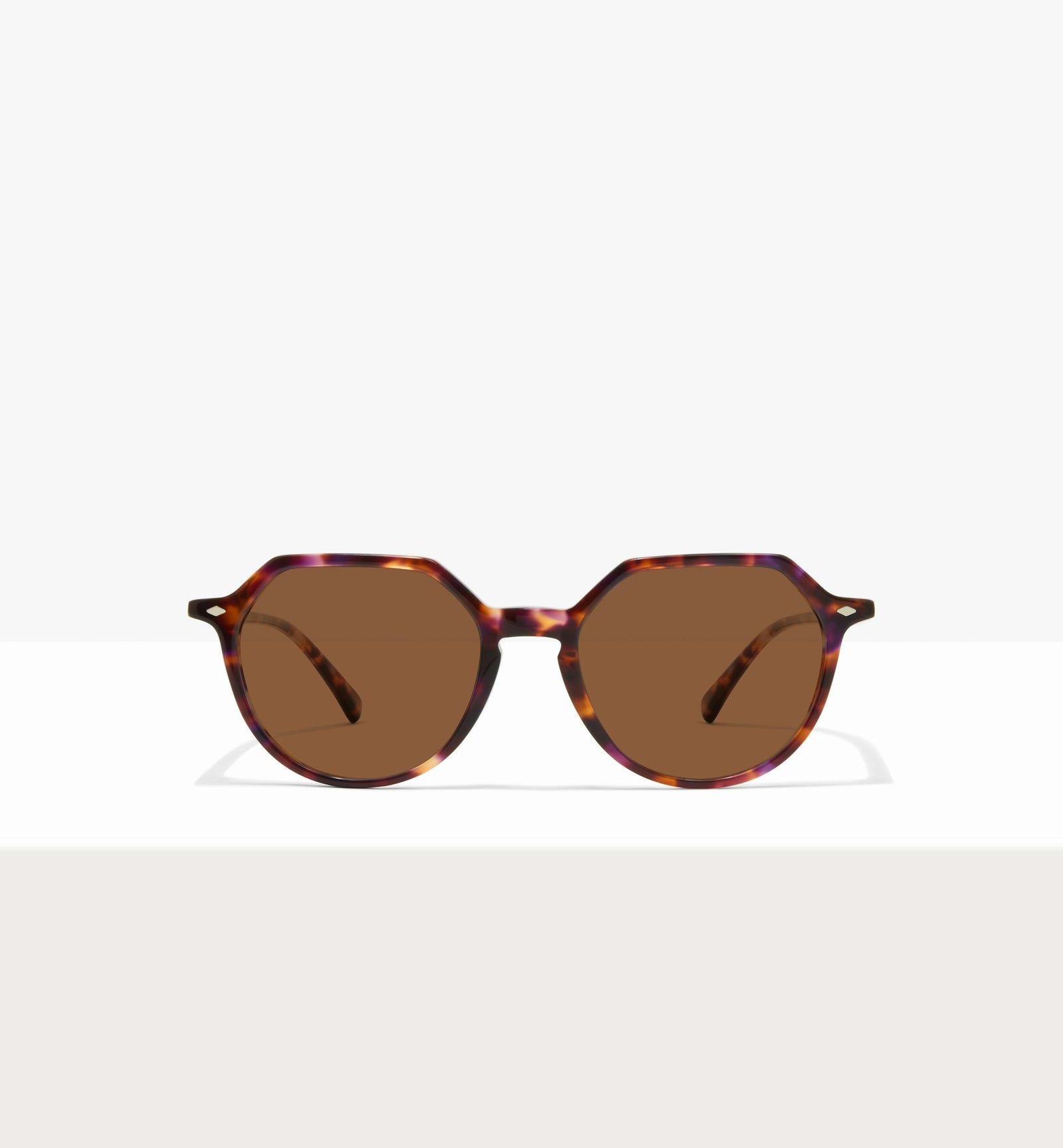 Purple Tort--front_image_sun