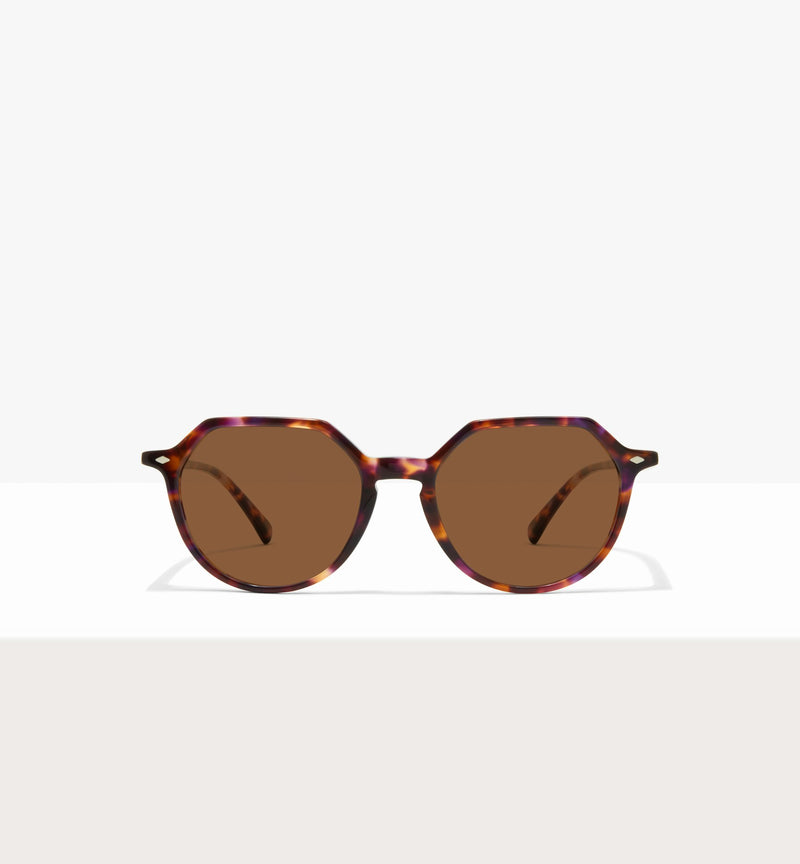 Purple Tort--front_image_sun