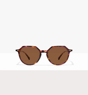 Purple Tort--front_image_sun