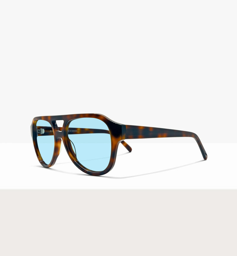 Brown Tort--angled_image_sun
