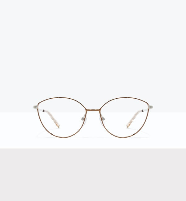 Brown--front_image