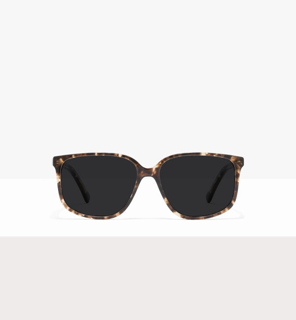 Leopard--front_image_sun