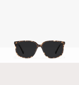 Leopard--front_image_sun