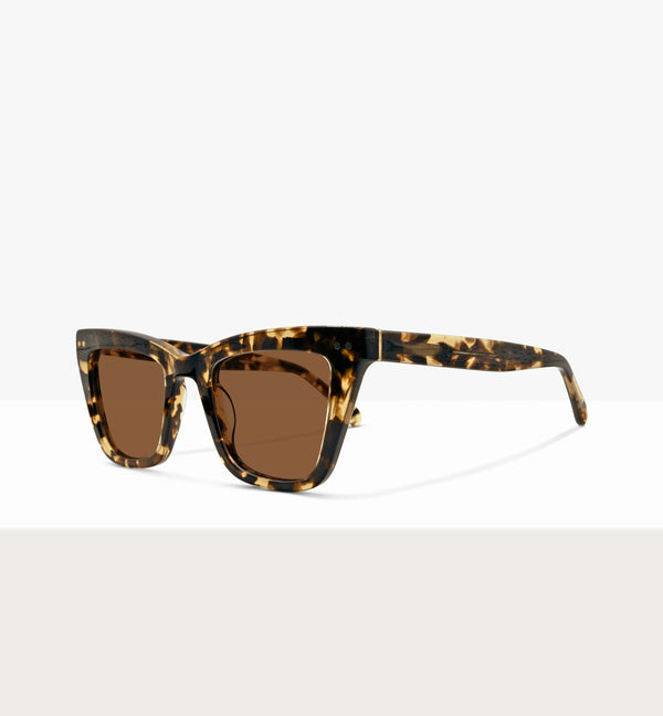 Leopard--angled_image_sun