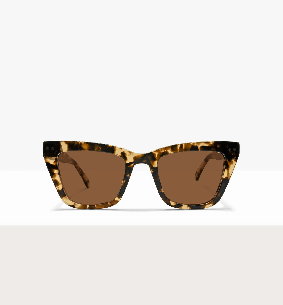 Leopard--front_image_sun