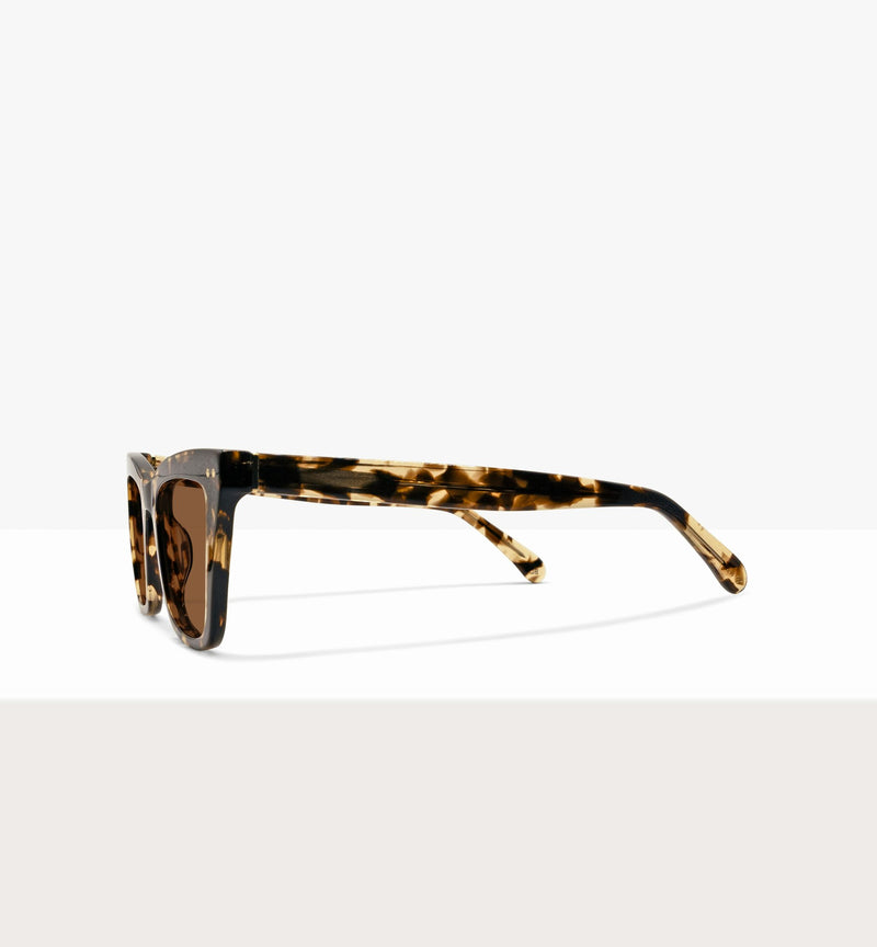 Leopard--side_image_sun