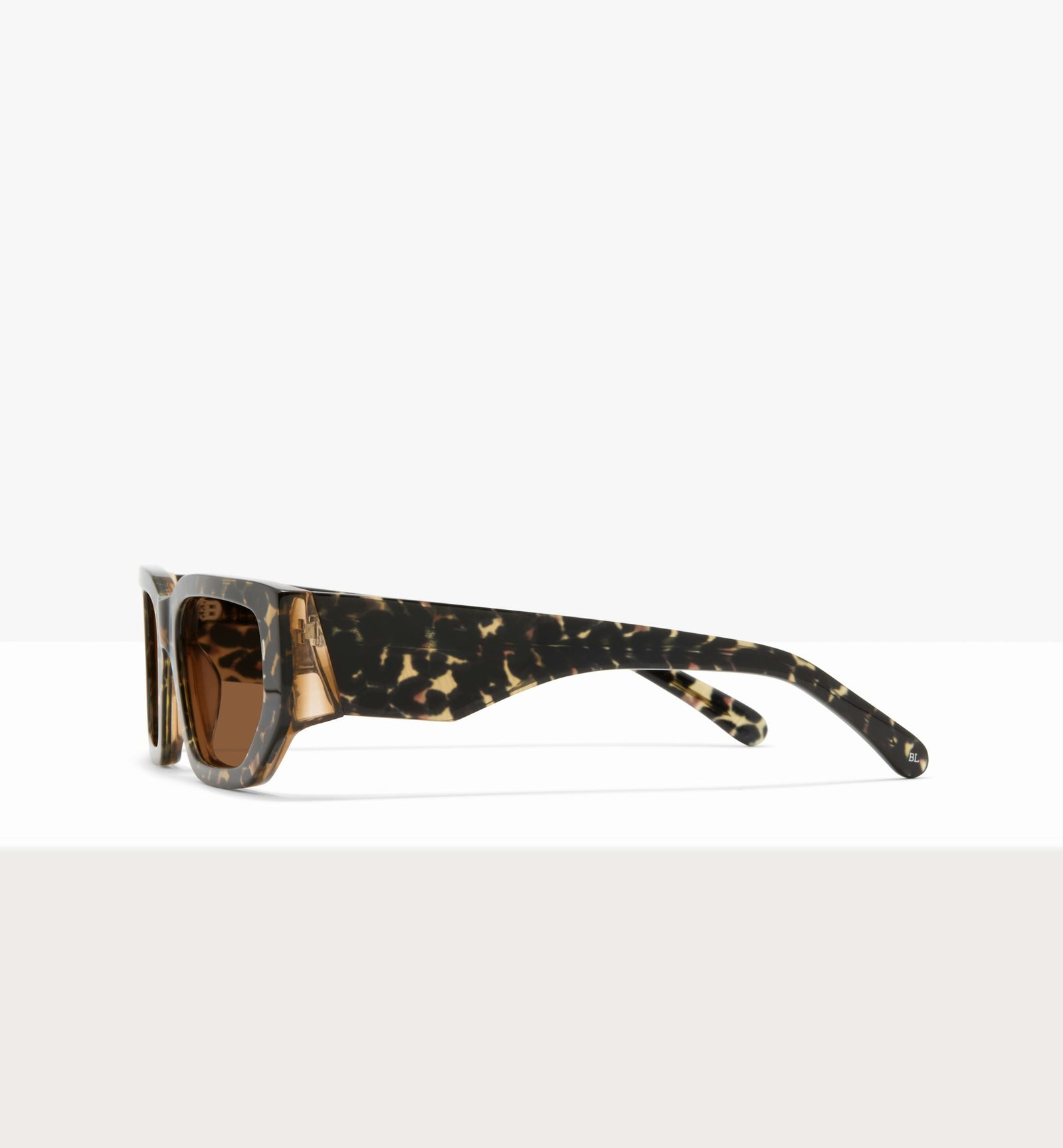 Feline--angled_image_sun