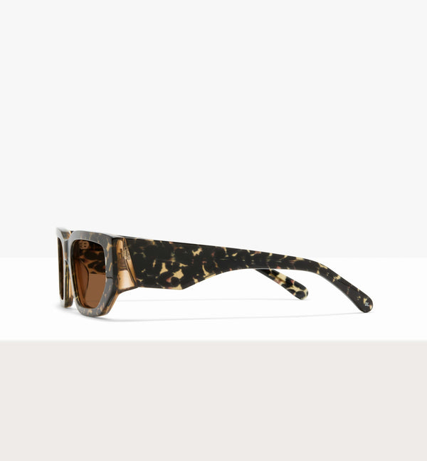 Feline--angled_image_sun