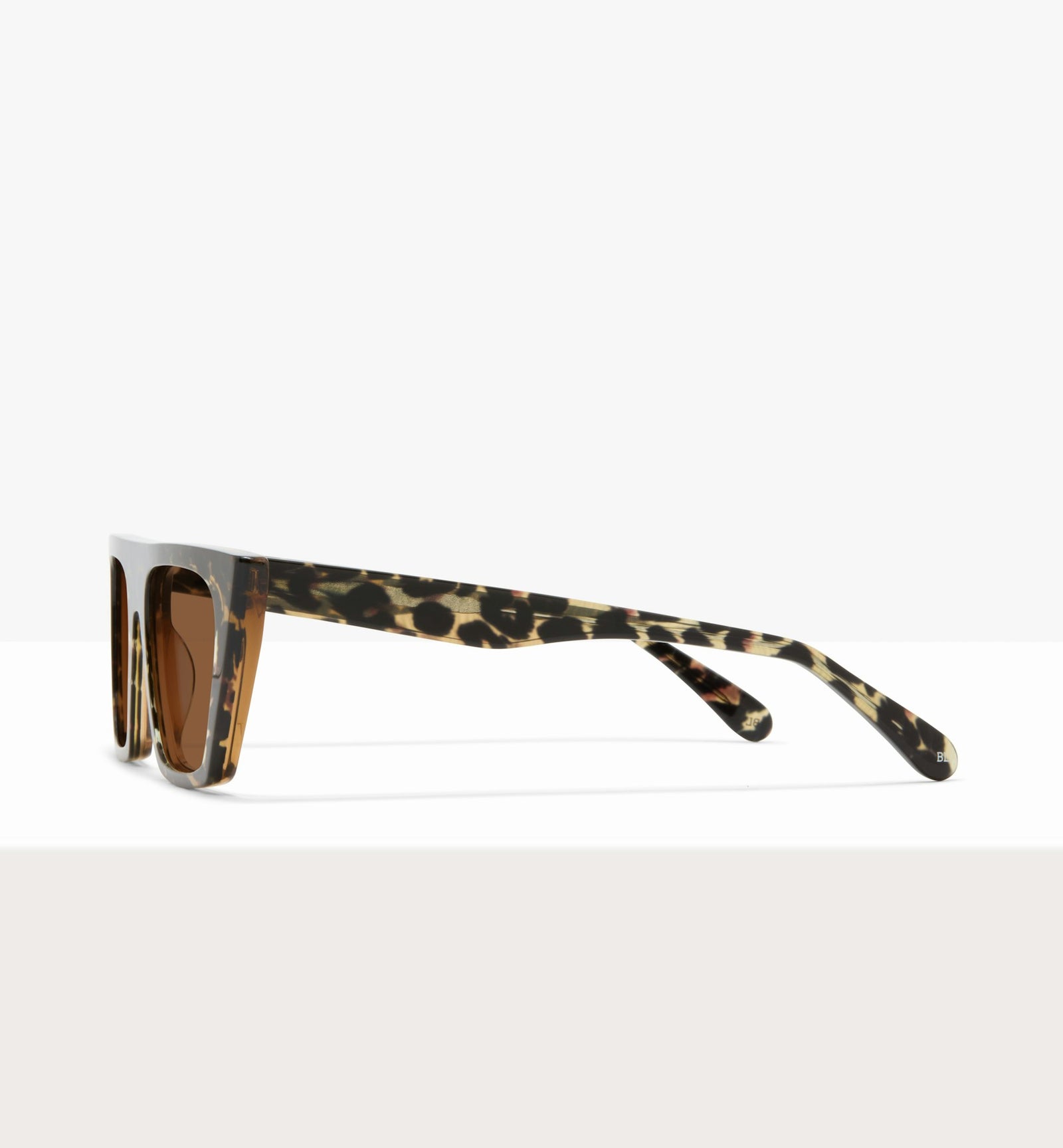 Feline--side_image_sun