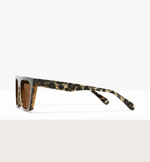 Feline--side_image_sun
