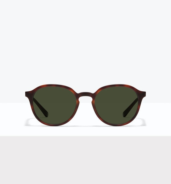 Ansel Sunglasses BonLook Matte Tortoise 5 yes