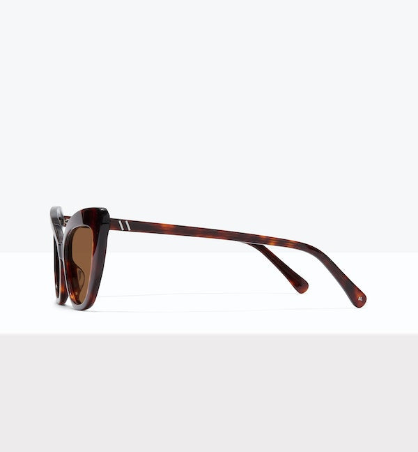 Tortoise--side_image_sun