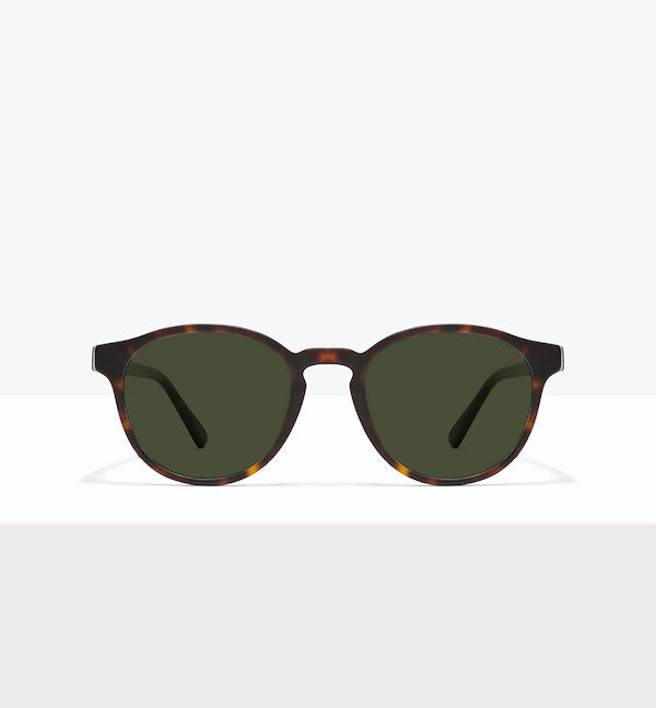 Matte Tortoise--front_image_sun
