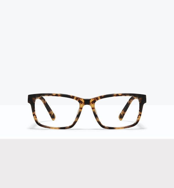 Tortoise Matte--front_image