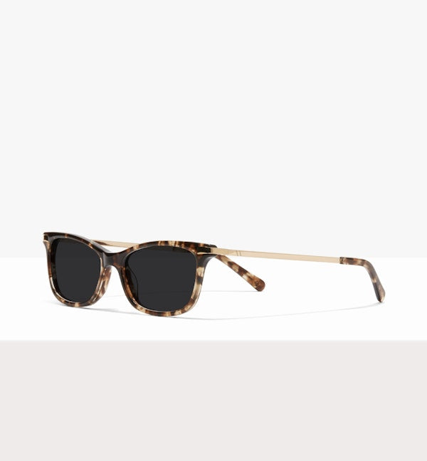 Leopard--angled_image_sun