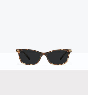 Leopard--front_image_sun