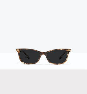 Leopard--front_image_sun