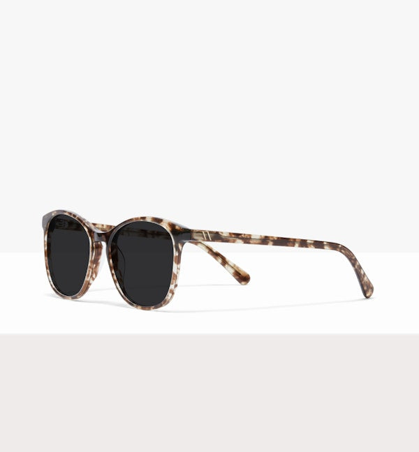Leopard--angled_image_sun