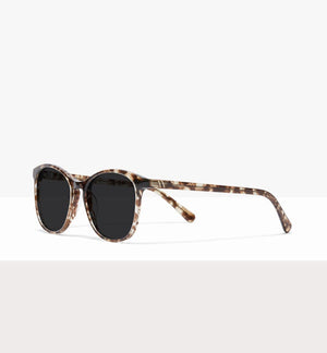 Leopard--angled_image_sun