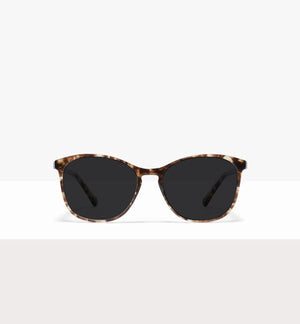 Leopard--front_image_sun