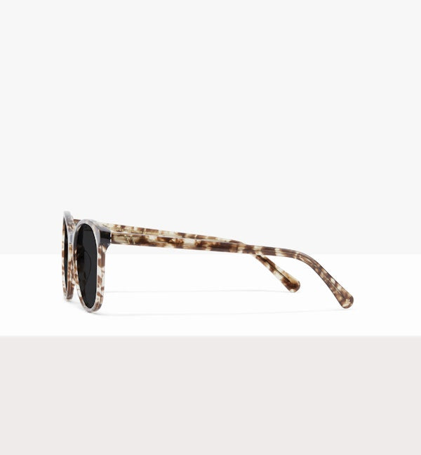 Leopard--side_image_sun