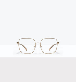Gold--front_image