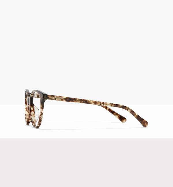Leopard--side_image