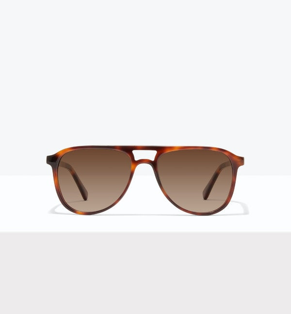 Heron Sunglasses BonLook Tortoise 4 yes