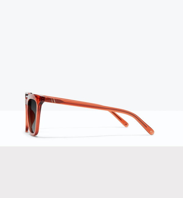 Hollywood Sunglasses BonLook   