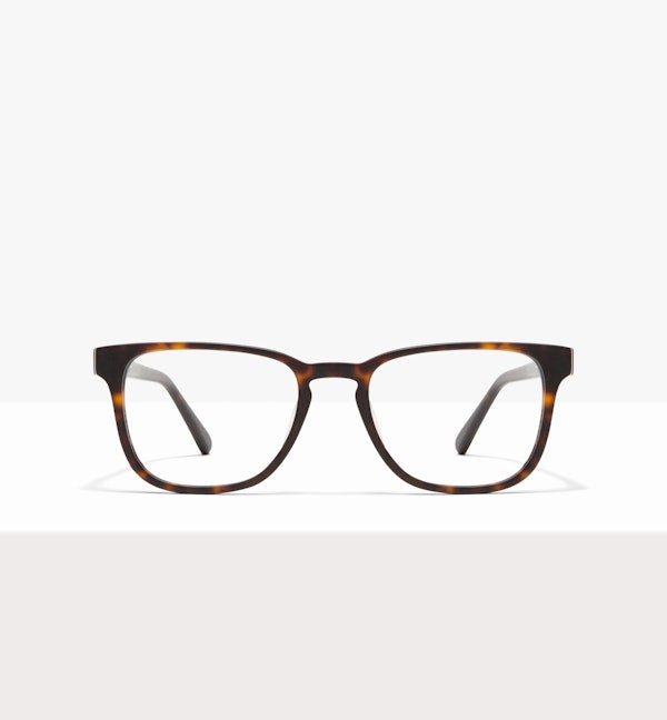 Matte Tortoise--front_image