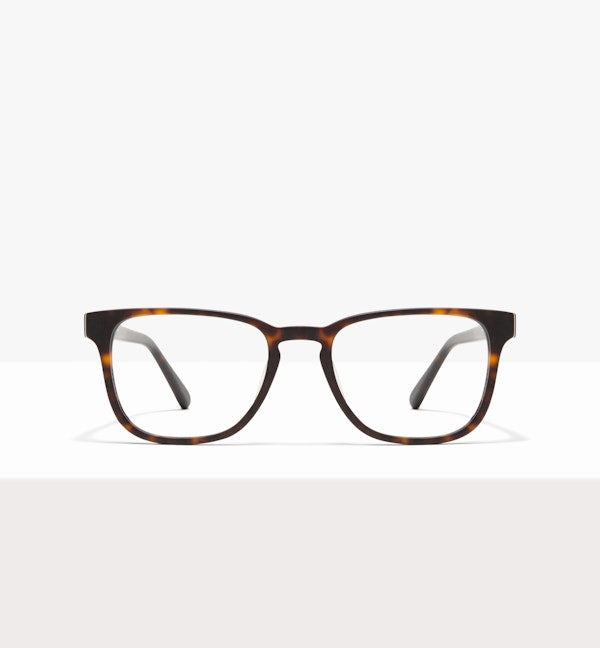 Matte Tortoise--front_image