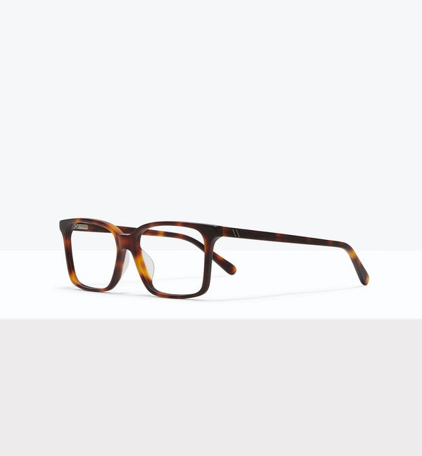 Matte Tortoise--angled_image