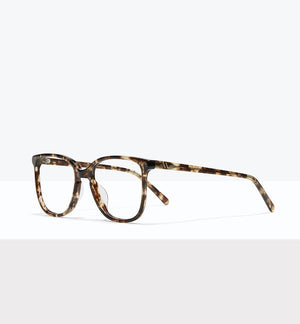 Leopard--angled_image