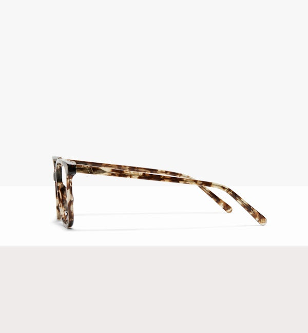 Leopard--side_image