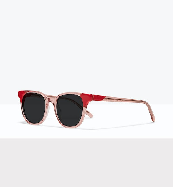 Pink Coral--angled_image_sun