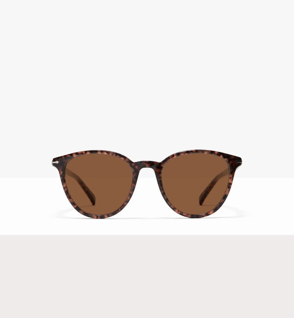 Leo--front_image_sun