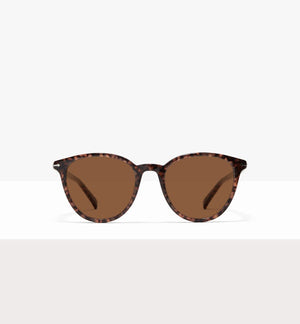 Leo--front_image_sun