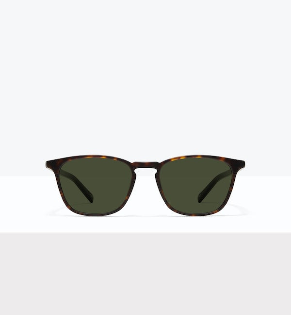 Matte Tortoise--front_image_sun