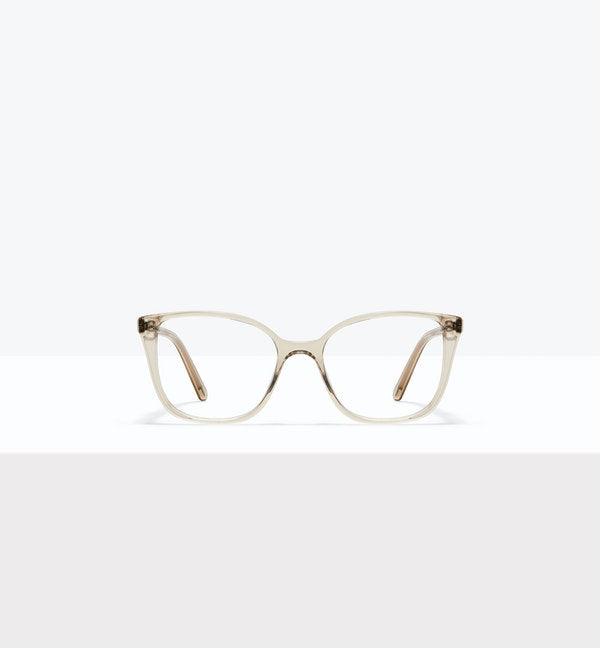 Olive--front_image