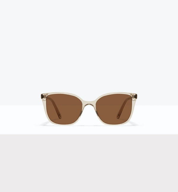 Olive--front_image